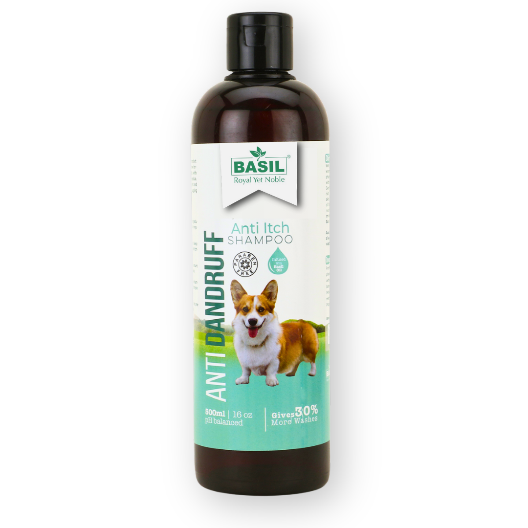 Buy Best Anti Dandruff Herbal Dog Shampoo Save Up to 20 BASIL