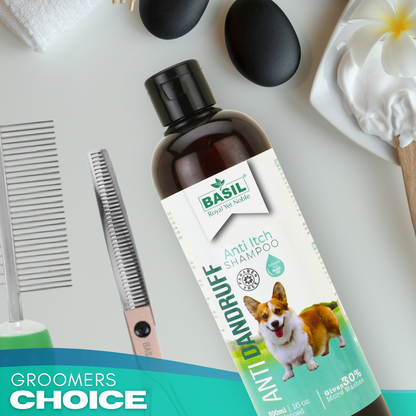 BASIL Anti-Dandruff Pet Shampoo, Herbal Anti-Itch Shampoo for Dogs and Puppies