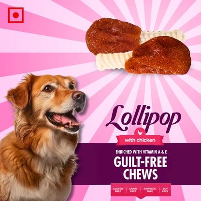 BASIL Chicken Lollipop Guilt-Free Treat for Dogs & Puppies | 92 Grams