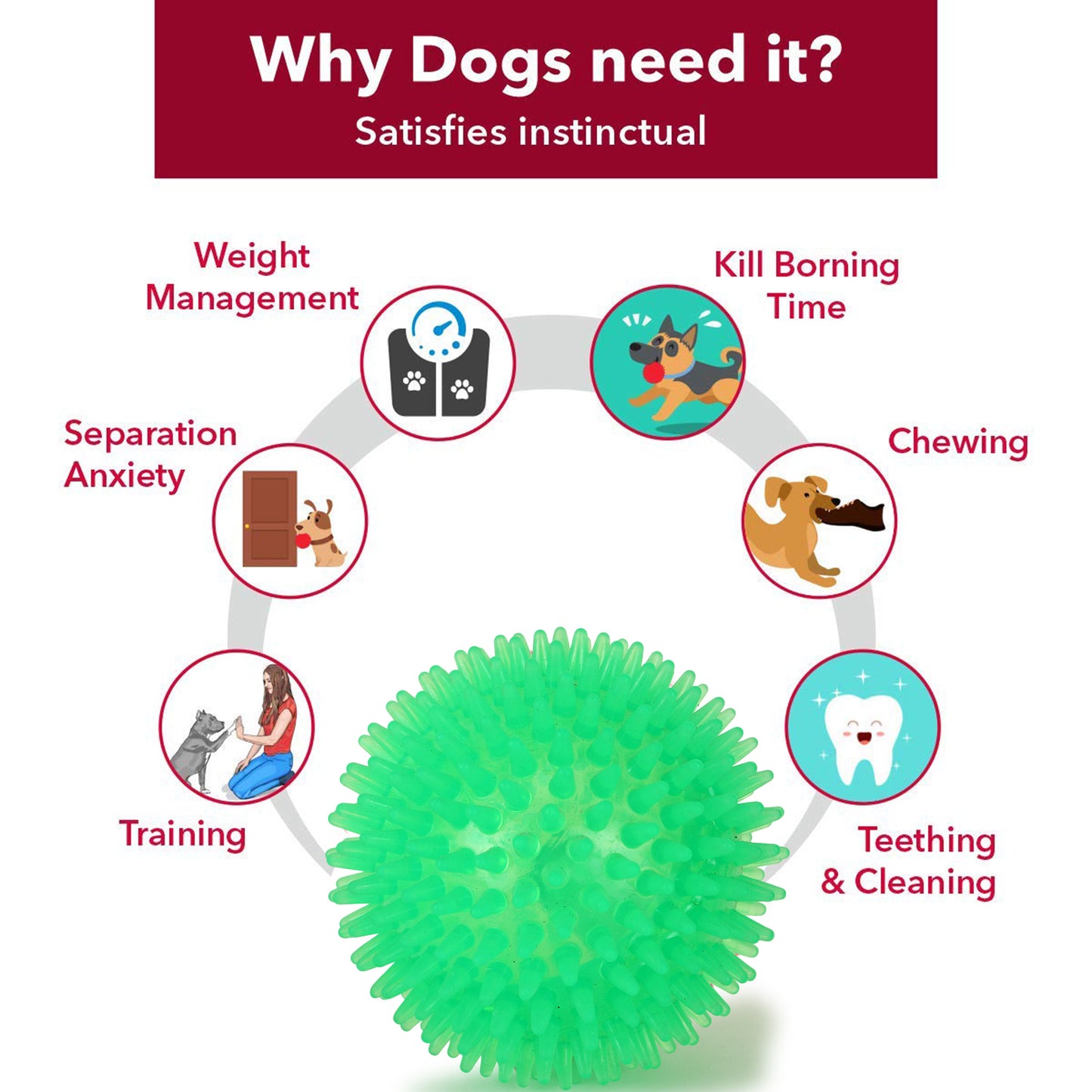 BASIL Spiked & Squeaky Chew Ball, Toy for Dogs & Puppies (Green)