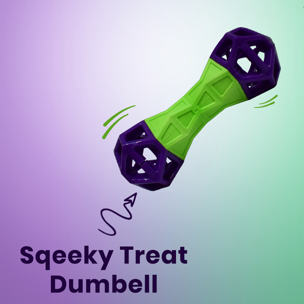 BASIL Squeaky Dumbbell with Treat Dropper