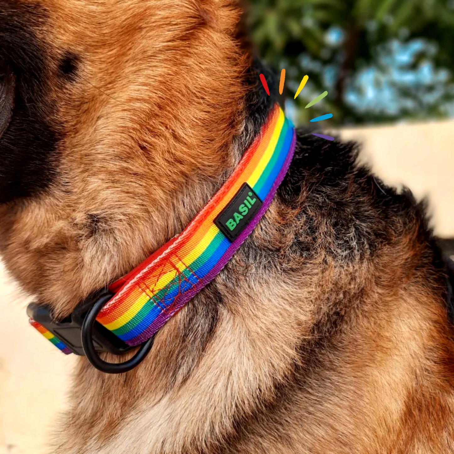 BASIL Pride Rainbow Padded Leash for Dogs & Puppies