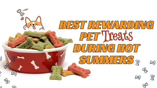 Best Rewarding Pet Treats During Hot Summers: Dogs & Puppies in 2023