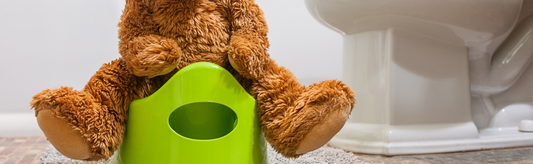 Is Potty Training For Your Dog Using Training Pee Pads A Good Idea?