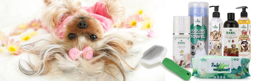 best pet grooming products for at home spa session