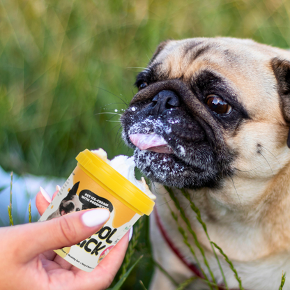 BASIL Cool Lick Dog Ice-Cream with Added Prebiotics, Banana & Peanuts (Pack of 2)