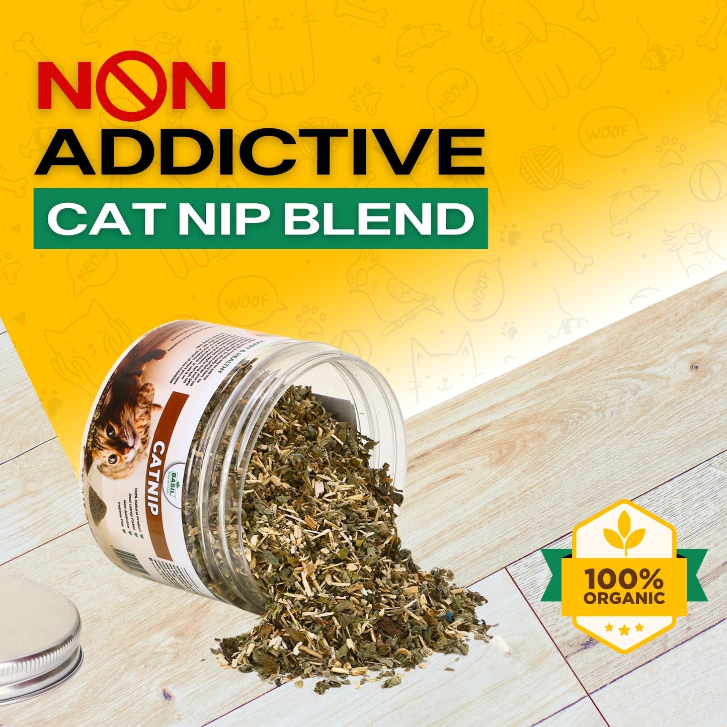 BASIL Catnip Jar for Kittens & Cats, Pure & Natural Cat Nip