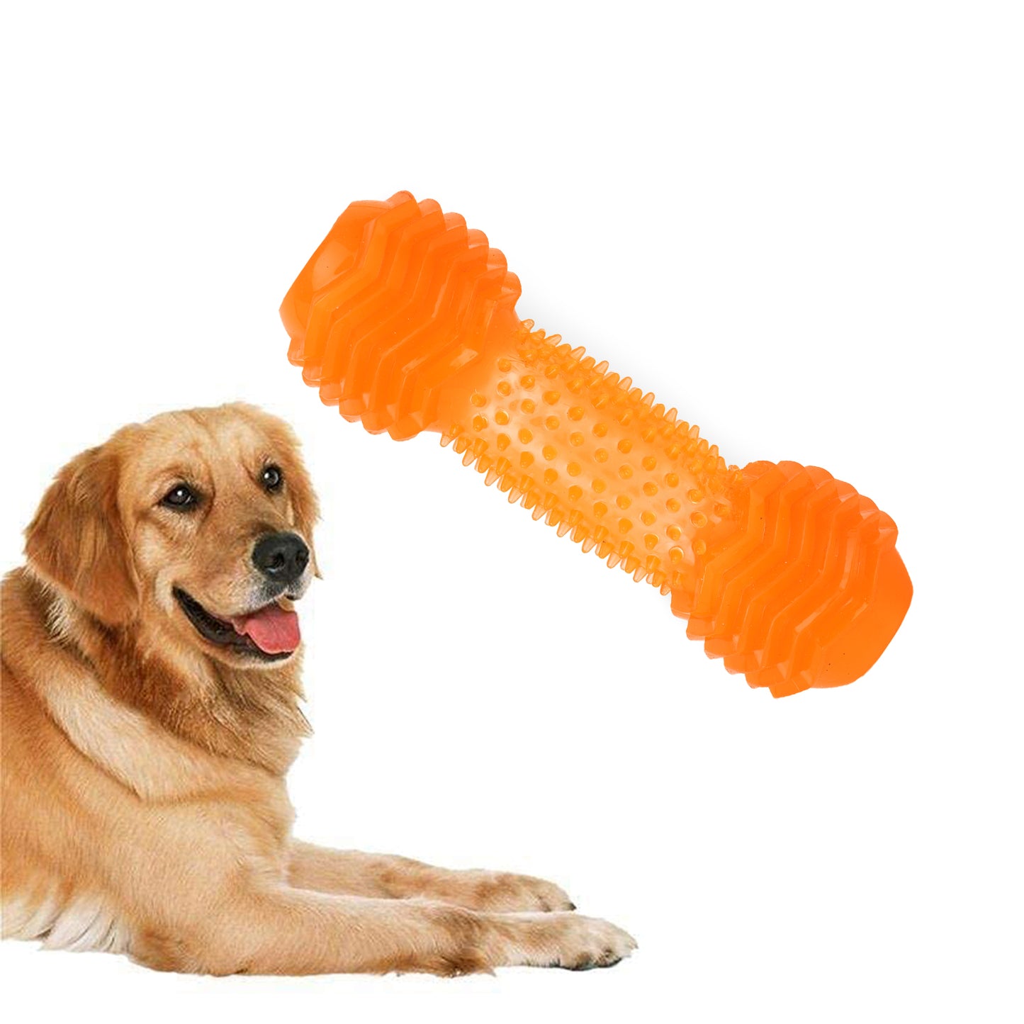 BASIL Dumbbell Toy with Hollow Centre for Treats