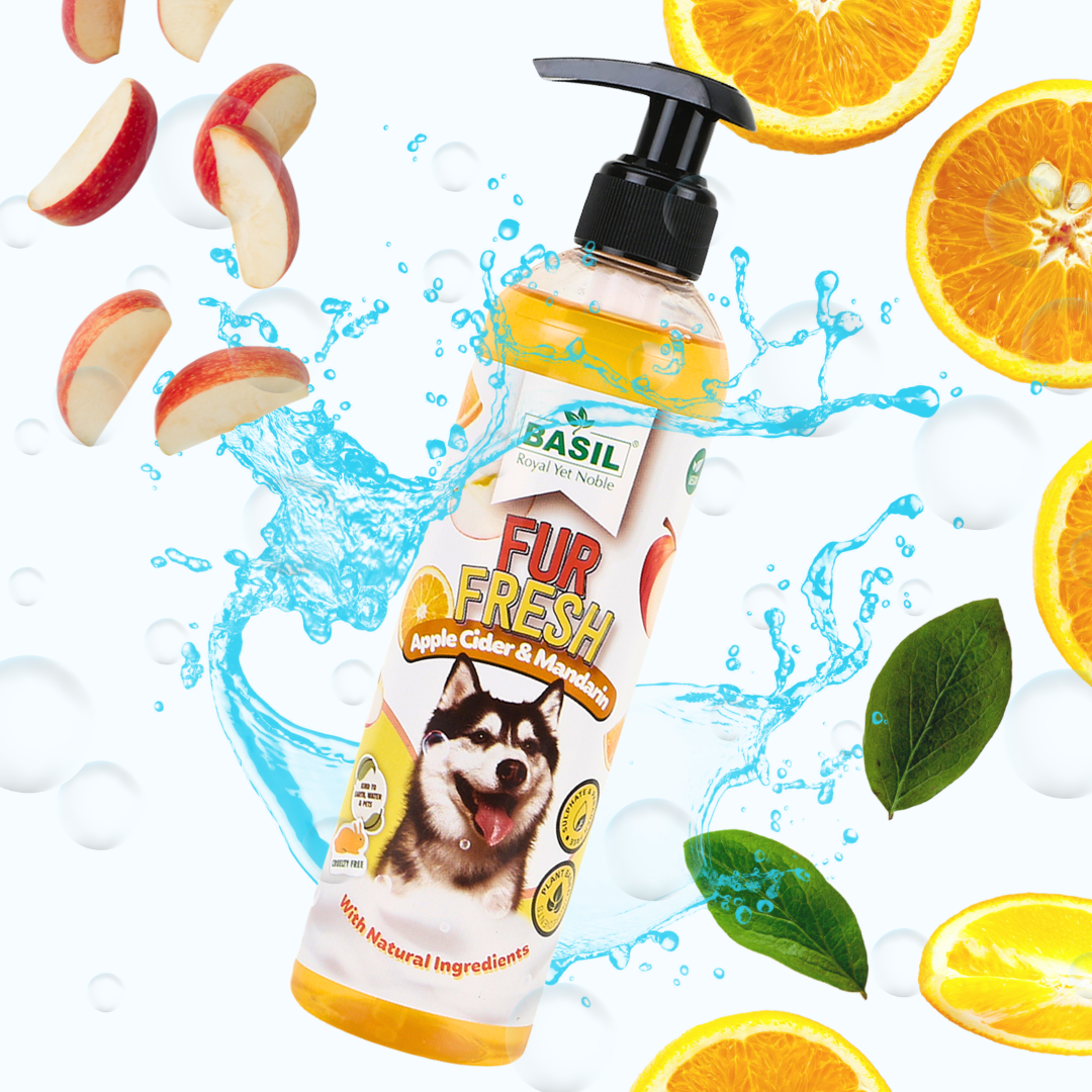 Buy BASIL Fur Fresh Vegan Shampoo for Dogs (Apple Cider & Mandarin